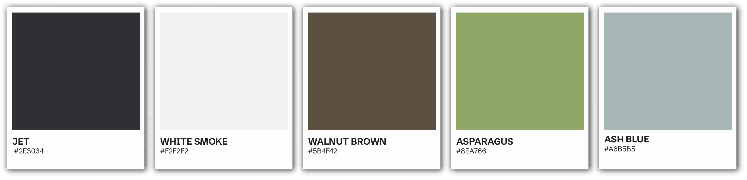 color palette
