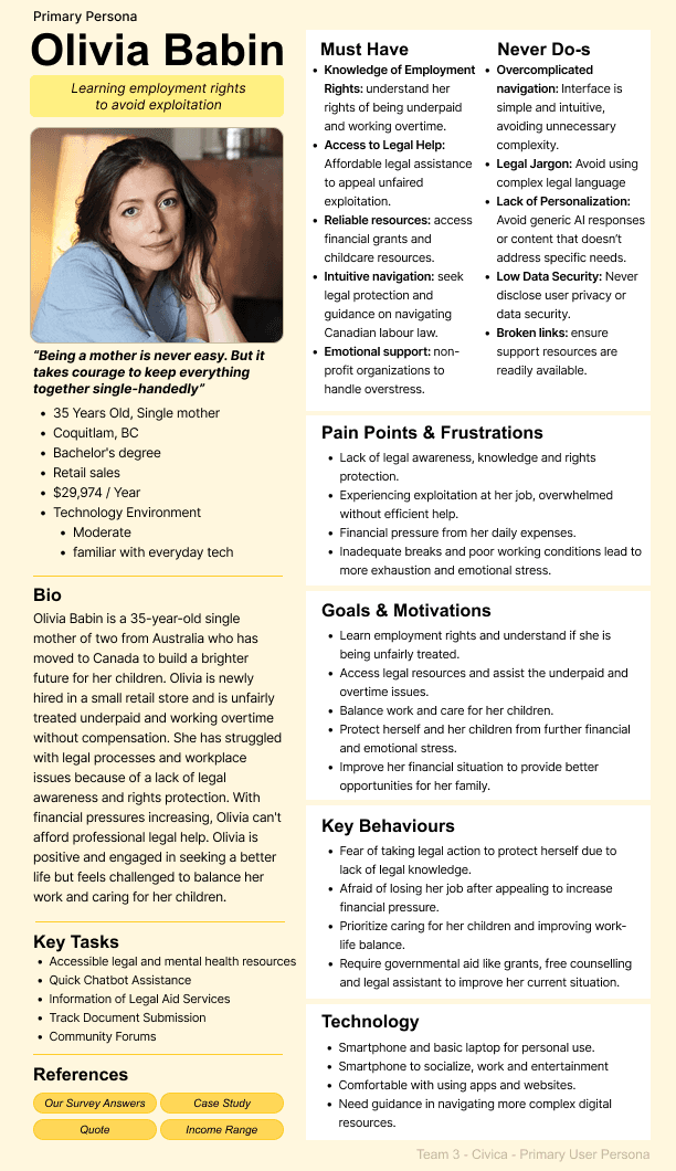 primary user persona