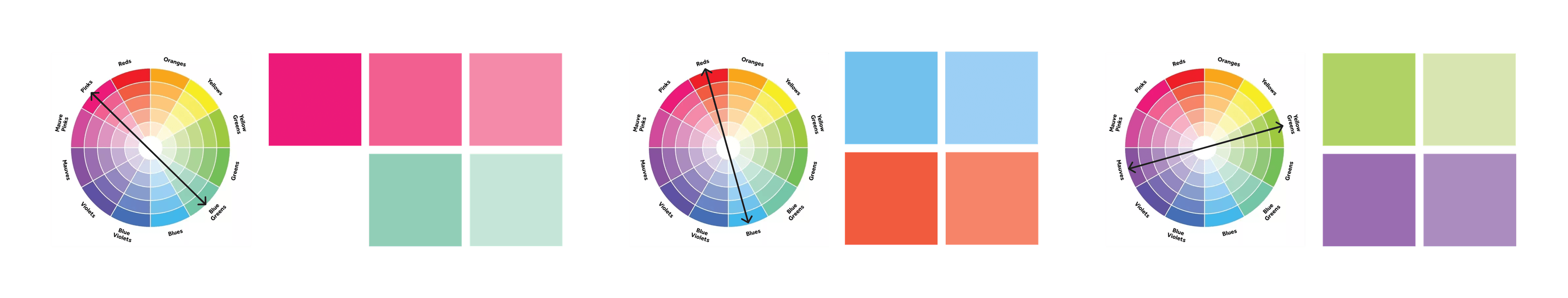 color palette